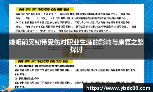 威廉希尔